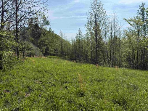00 Needham Rd, Unincorporated, TN, 38023 | Card Image