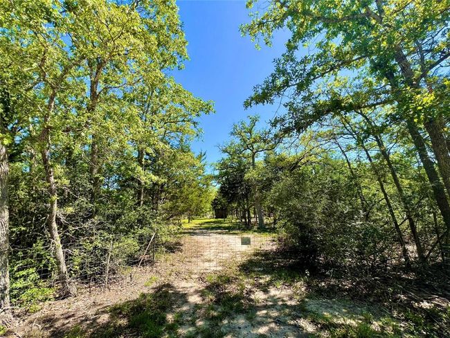 357 Oak Holw, Home with 0 bedrooms, 0 bathrooms and null parking in Caldwell TX | Image 5