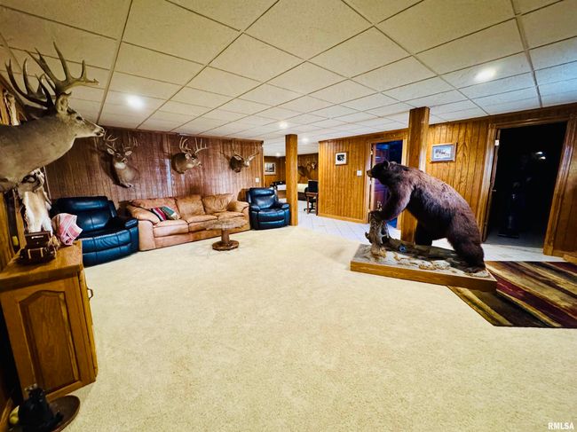 1316 Bridgeport Rd, House other with 3 bedrooms, 2 bathrooms and null parking in Maquon IL | Image 49