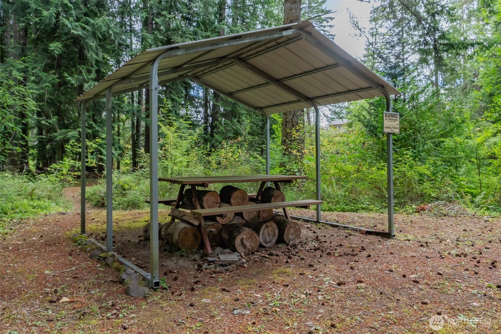Land in Rainier 4