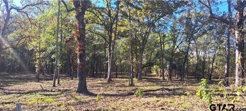 TBD County Road 4147, Lindale, TX, 75771 | Card Image