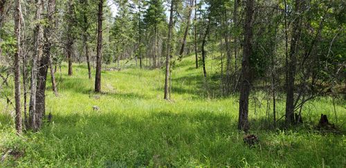 109 Coffee Dr, Eureka, MT, 59917-1009 | Card Image