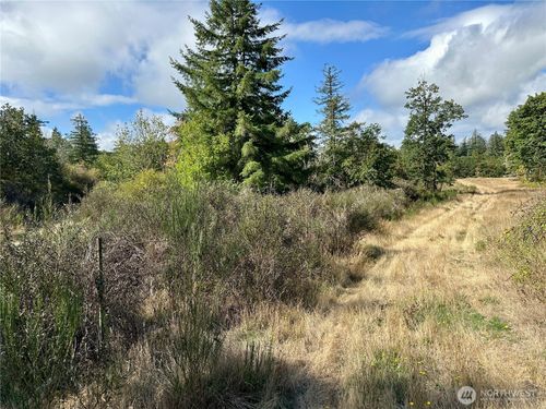 0 Dannie Womer Ln, Oakville, WA, 98568 | Card Image