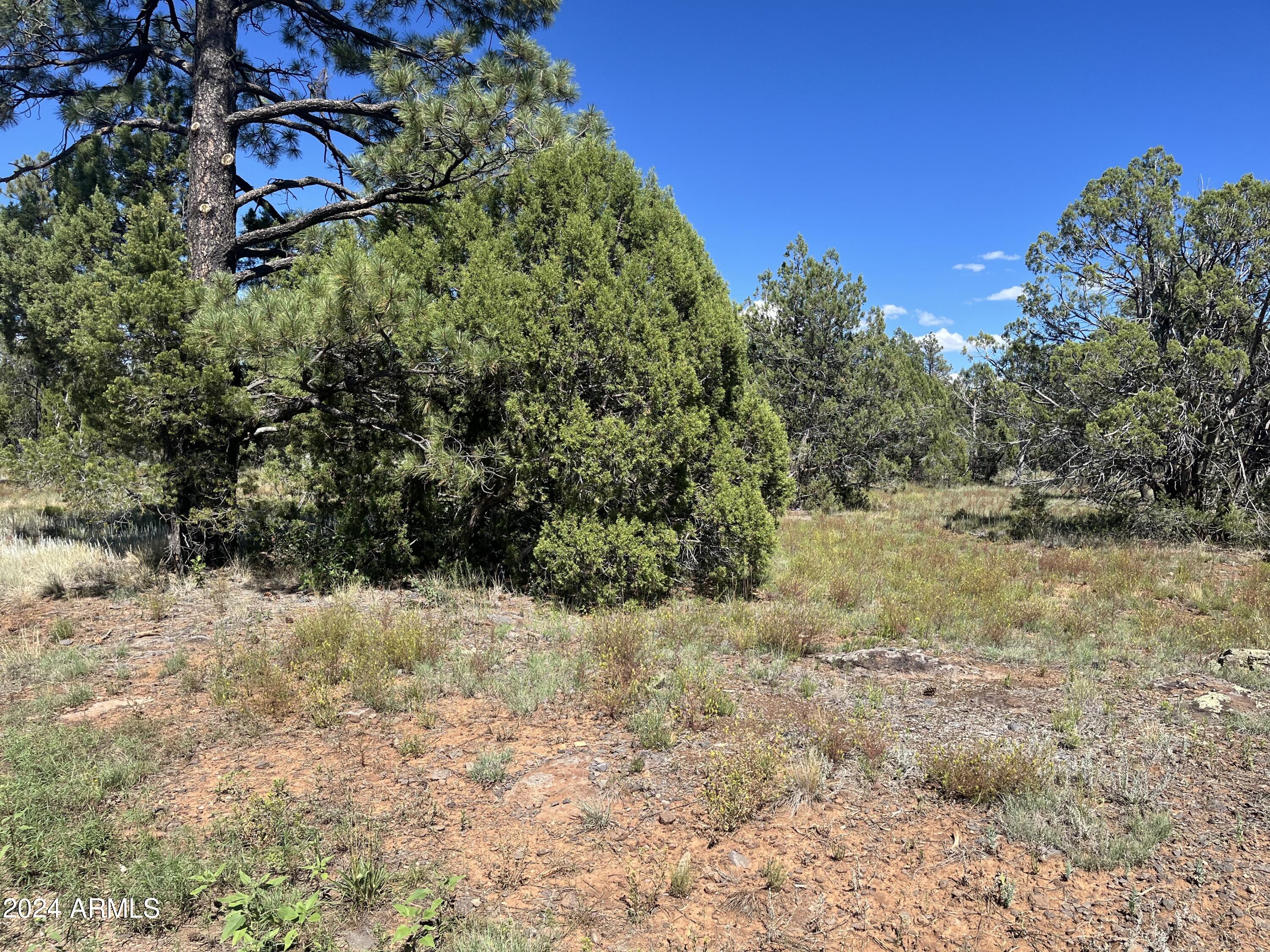 Land in Lakeside 3