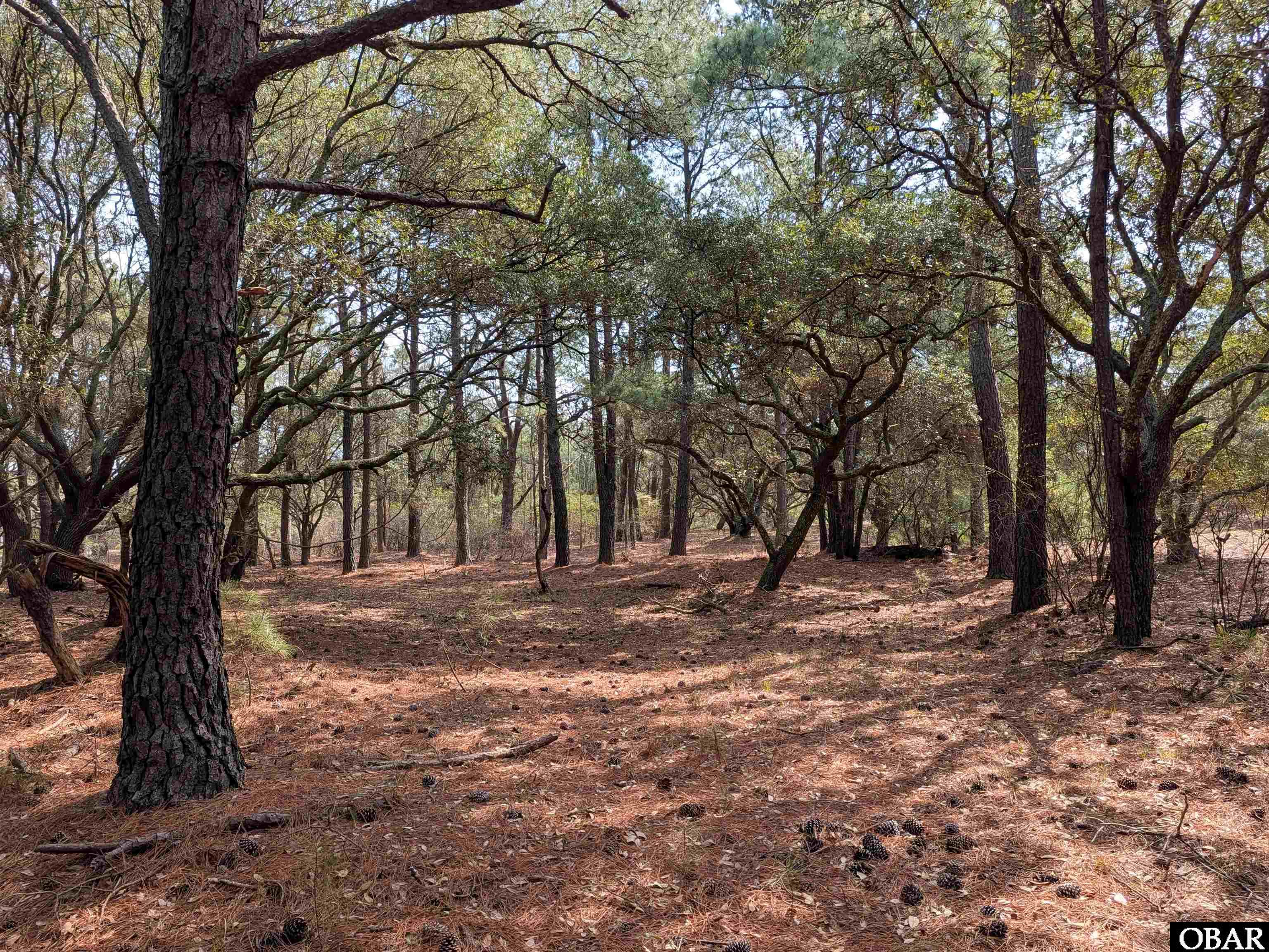 Land in Corolla 3