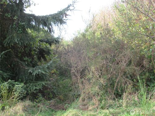 4 Driftwood Dr, Ocean City, WA, 98569-9291 | Card Image