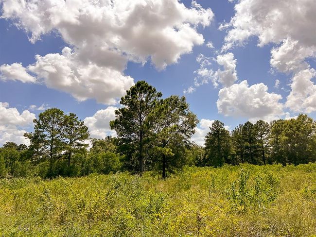 1 Avenue C, Home with 0 bedrooms, 0 bathrooms and null parking in Batson TX | Image 6