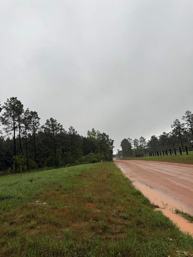 0 Richardson Rd E, Home with 0 bedrooms, 0 bathrooms and null parking in Livingston TX | Image 10