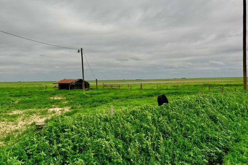 2001 County Road 9, Tulia, TX, 79088 | Card Image