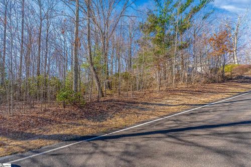 100 Park Green Way, Landrum, SC, 29356 | Card Image