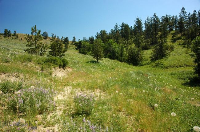 SC-25 - TBD Lone Rock Canyon Lane, Home with 0 bedrooms, 0 bathrooms and null parking in Hysham MT | Image 11