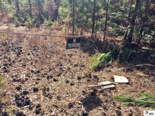 0 Tucker Store Rd, Home with 0 bedrooms, 0 bathrooms and null parking in Spearsville LA | Image 14