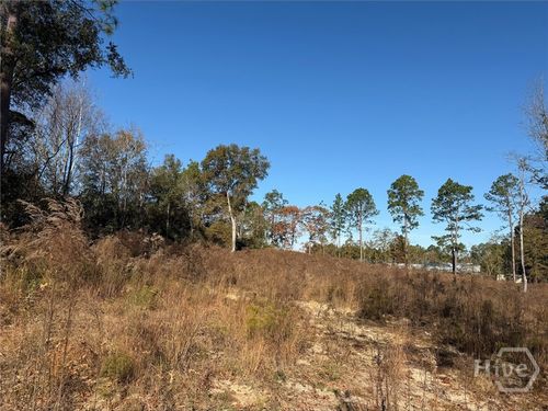 0 Green Ridge Ct, Statesboro, GA, 30458 | Card Image