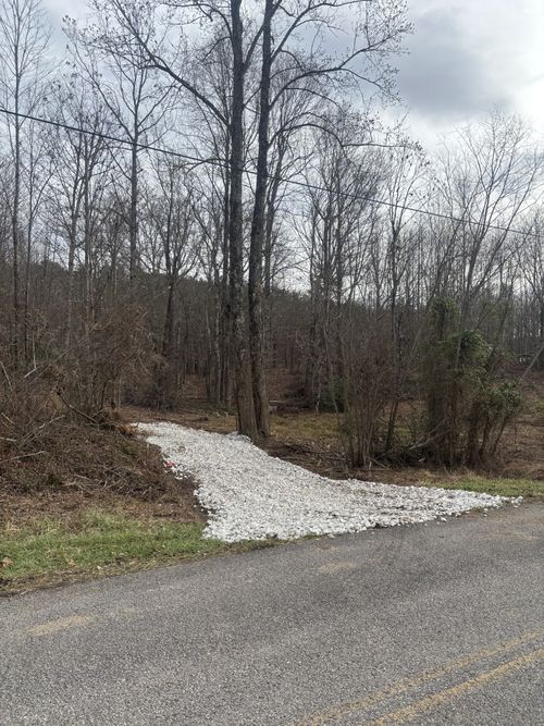 0 Browns Hollow Rd, Tracy City, TN, 37387 | Card Image