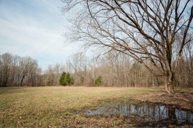 13300 Scottsville Rd, Home with 0 bedrooms, 0 bathrooms and null parking in Lucas KY | Image 11