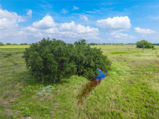 View of local wilderness featuring rural landscape | Image 31