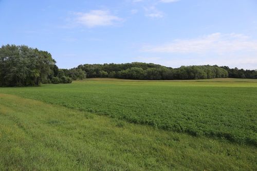 Lot 2 State Highway 27, LEON, WI, 54656 | Card Image