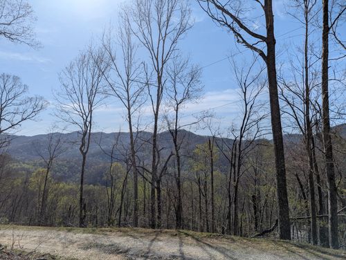 68 Parachute Rdg, Glenville, NC, 28736-0405 | Card Image