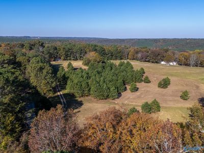 595 County Road 1281, Home with 0 bedrooms, 0 bathrooms and null parking in Falkville AL | Image 3