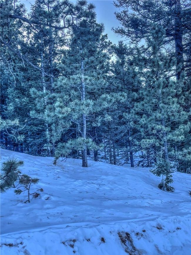 1174 Monarch Dr, Home with 0 bedrooms, 0 bathrooms and null parking in Cripple Creek CO | Image 20