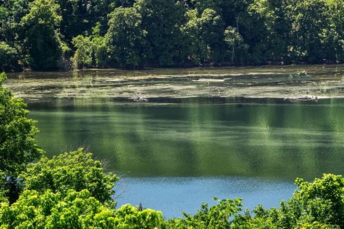 4-157-150 Sunken Forest Dr, Forsyth, MO, 65653-8117 | Card Image