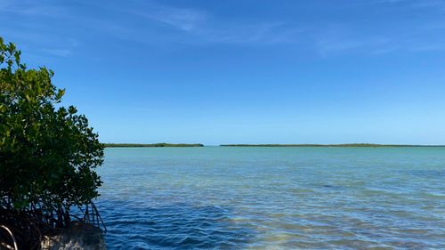 813 2nd St, Key West, FL, 33040-5629 | Card Image