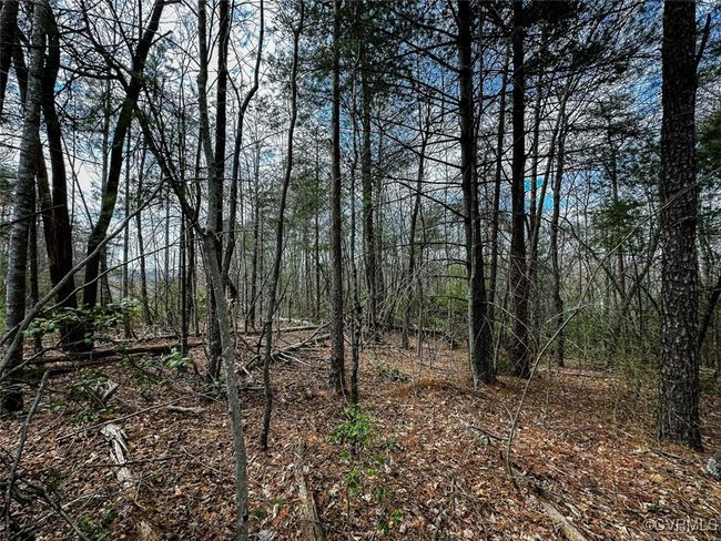 41.18 Acres (Off Of) Pole Bridge Rd, Home with 0 bedrooms, 0 bathrooms and null parking in Stuart VA | Image 27