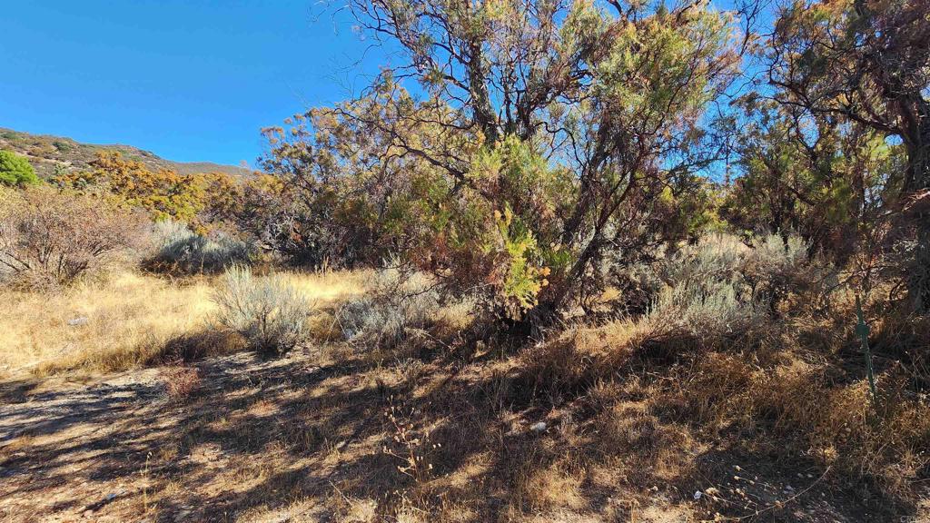 Land in Warner Springs 2