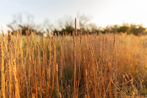 000 E 1535 Road, Snyder, OK, 73566 | Card Image