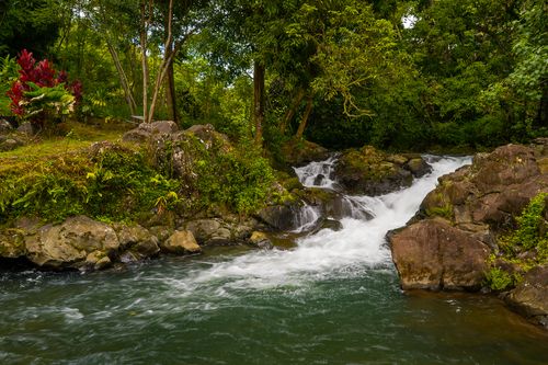 27-418 Old Mamalahoa Hwy, PAPAIKOU, HI, 96781-7739 | Card Image
