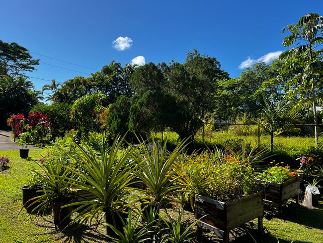 15-376 Puni Makai Loop S, House other with 3 bedrooms, 2 bathrooms and null parking in PAHOA HI | Image 24