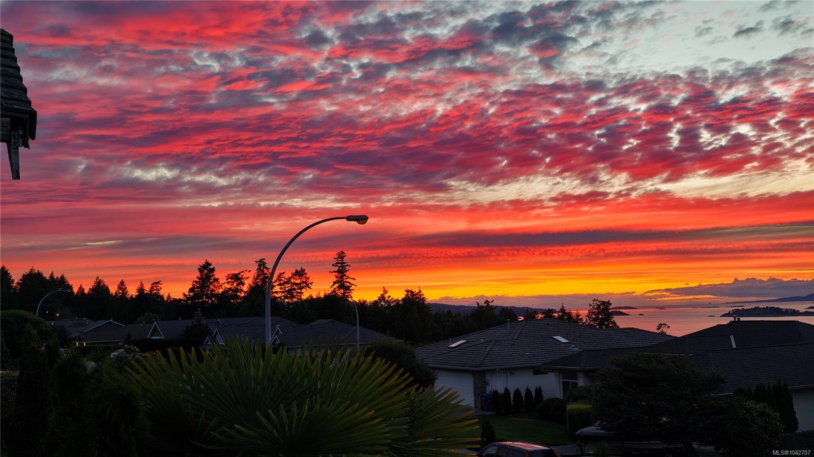 Residential in Nanaimo 5