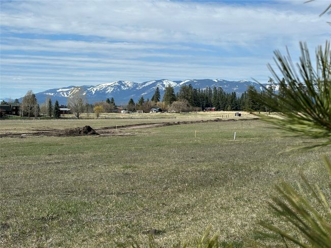 Nice usable ground | Image 6