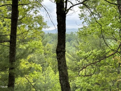 Tbd Blue Rock Road, Purlear, NC, 28665 | Card Image