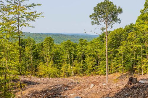 302 Tuttle Hill Rd, Orange, NH, 03741-5220 | Card Image