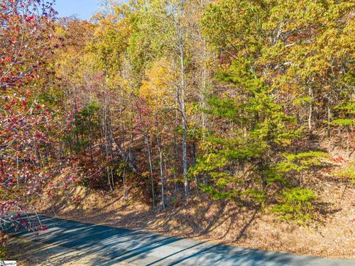 19 Hemlock Trail, Columbus, NC, 28722 | Card Image