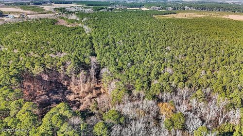 0 Us Highway 158 Business W, Gatesville, NC, 27938 | Card Image