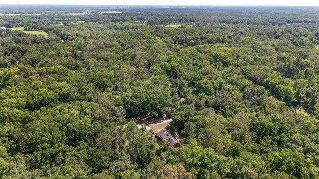 13207 Sw Williston Rd, House other with 3 bedrooms, 2 bathrooms and null parking in MICANOPY FL | Image 43
