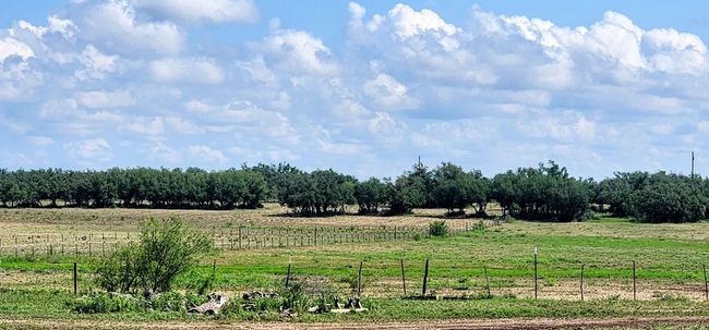 9286 County Road 2335, House other with 3 bedrooms, 2 bathrooms and 2 parking in Menard TX | Image 35