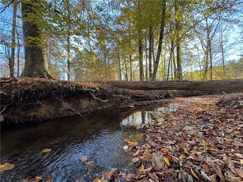 0 Germanys Ferry Rd, DAVISTON, AL, 36256 | Card Image