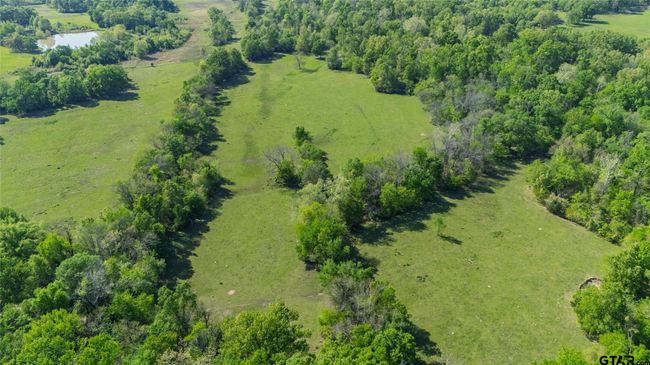 72 Acres N Farm Road 900, Home with 0 bedrooms, 0 bathrooms and null parking in Saltillo TX | Image 7