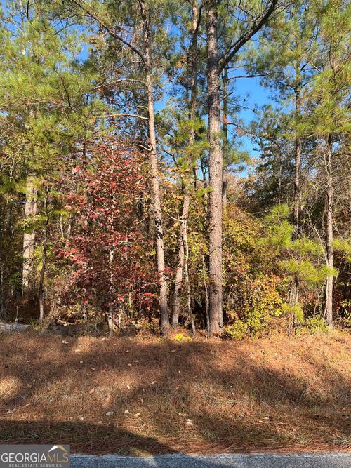 0 Ethridge Pl, gray, GA, 31032 | Card Image