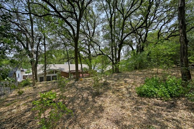 A gate takes you from the deck to an untouched “wooded” like, area, creating an experience that’s rare in the heart of the city — peaceful, natural, and truly special. | Image 21