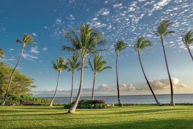229C - 1000 Kamehameha V Hwy, Condo with 1 bedrooms, 1 bathrooms and null parking in Kaunakakai HI | Image 20