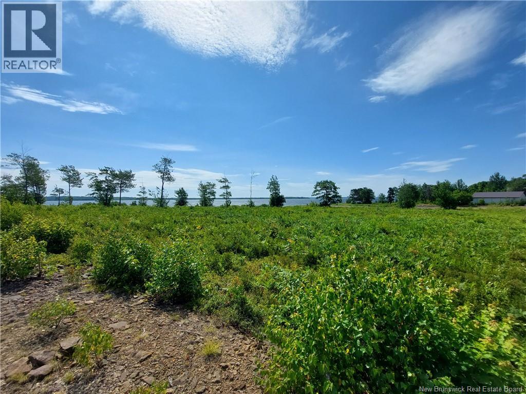 Land in Newcastle Creek 5
