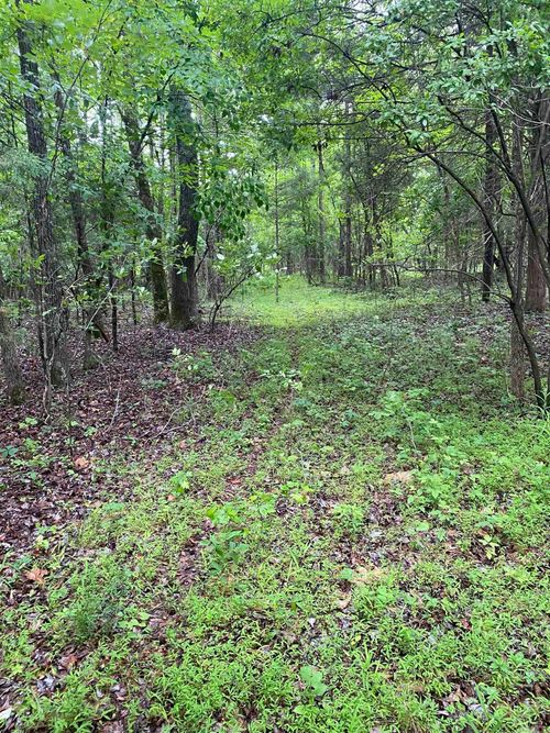 40 acres County Road 326, Jonesboro, AR, 72401 | Card Image