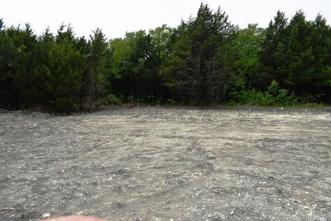 View of local wilderness featuring a wooded view | Image 15
