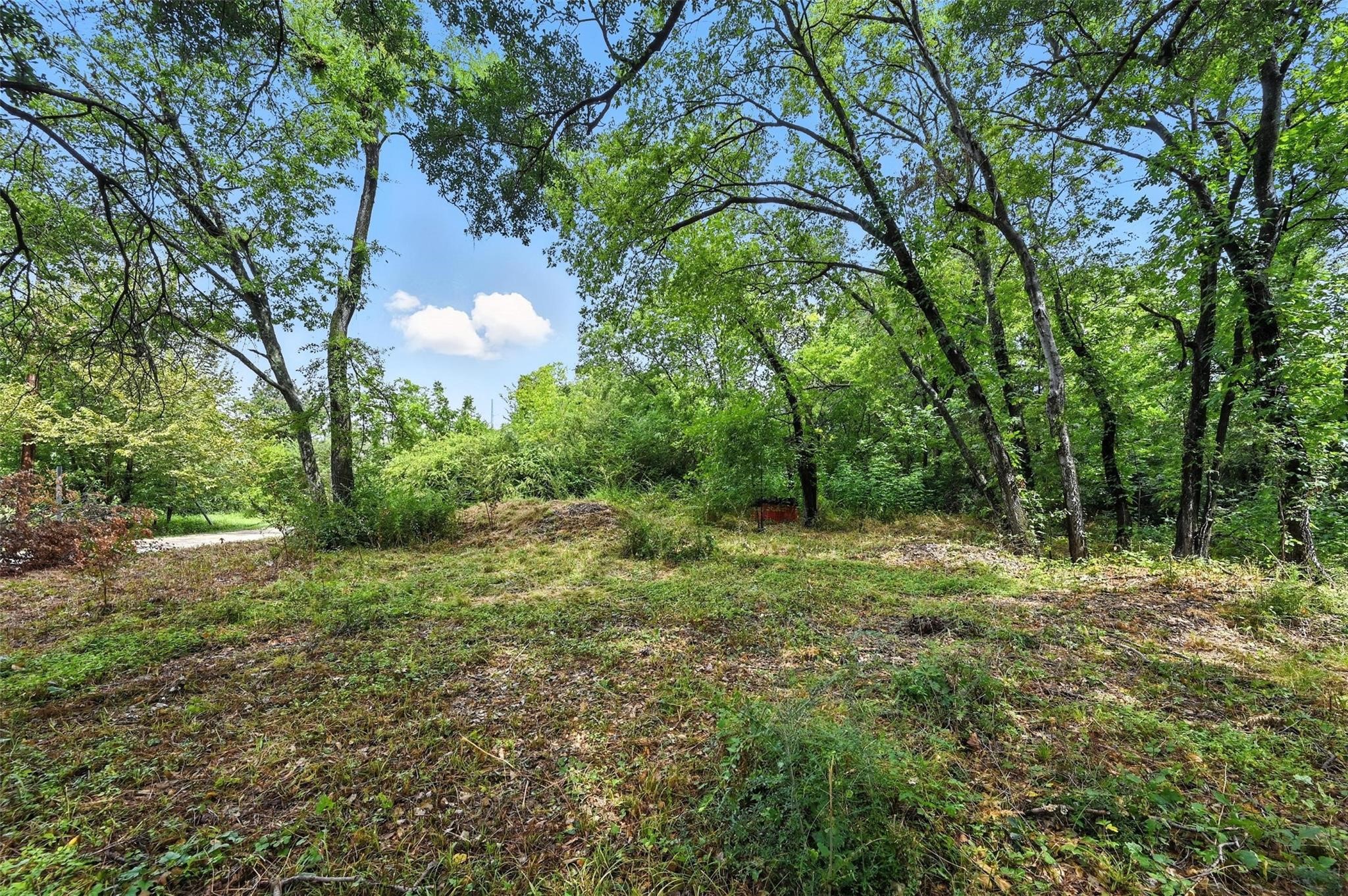 Land in Corsicana 4