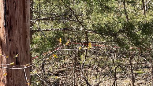 0 Holiday Shores Dr, Bismarck, MO, 63624 | Card Image