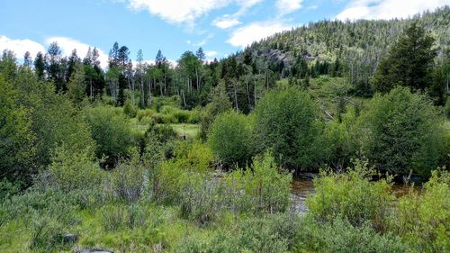 lot-1-TBD Moose Lake Road, Philipsburg, MT, 59858 | Card Image
